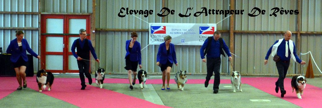 de l'Attrapeur de rêves - L'Attrapeur de Rêves a l'honneur de vous présenter 5 de ses bébés nés