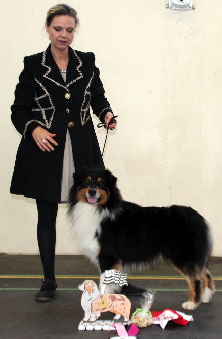 de l'Attrapeur de rêves - Guelwe dog show Navajo de l'Attrapeur de rêves