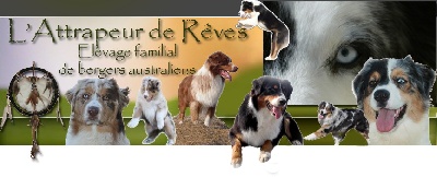de l'Attrapeur de rêves - EN REGION PARISIENNE AUSSI ...